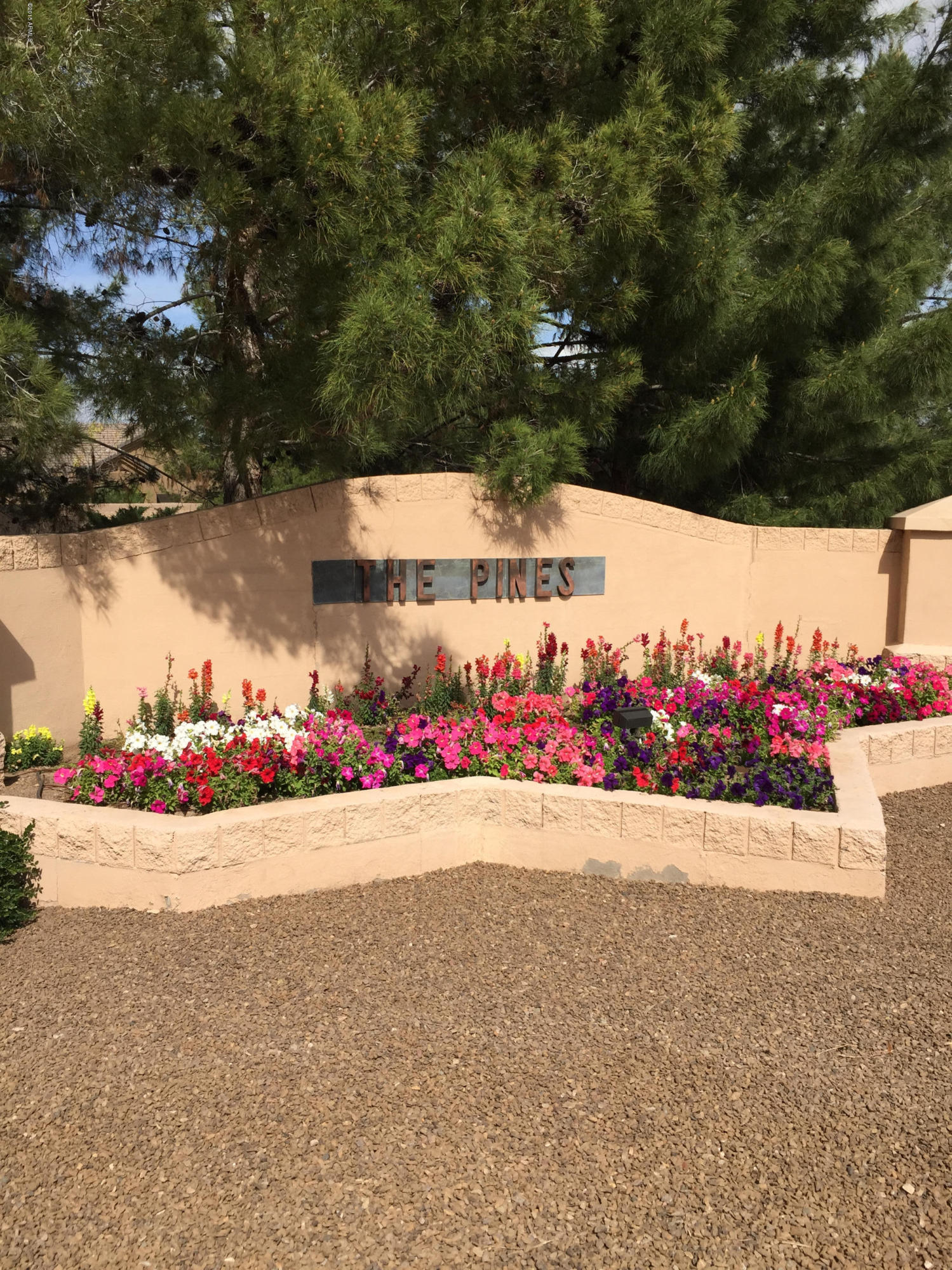 3931 East Carson Road Phoenix, AZ 85042 - Photo 34 of 36 IMG_4414