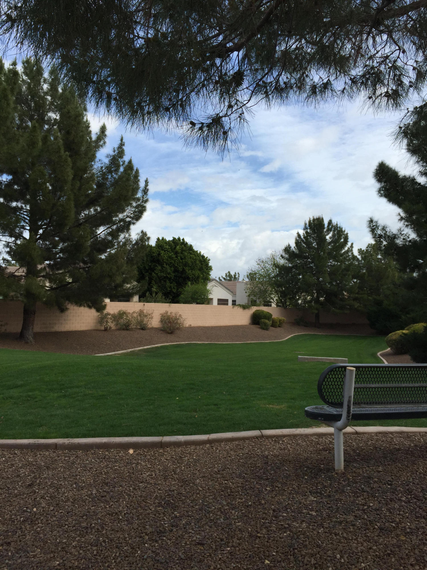 3931 East Carson Road Phoenix, AZ 85042 - Photo 36 of 36 IMG_4421