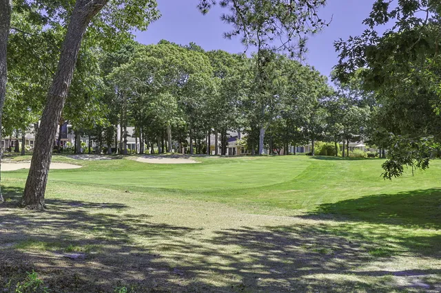 a view of a house that has a lot of flowers