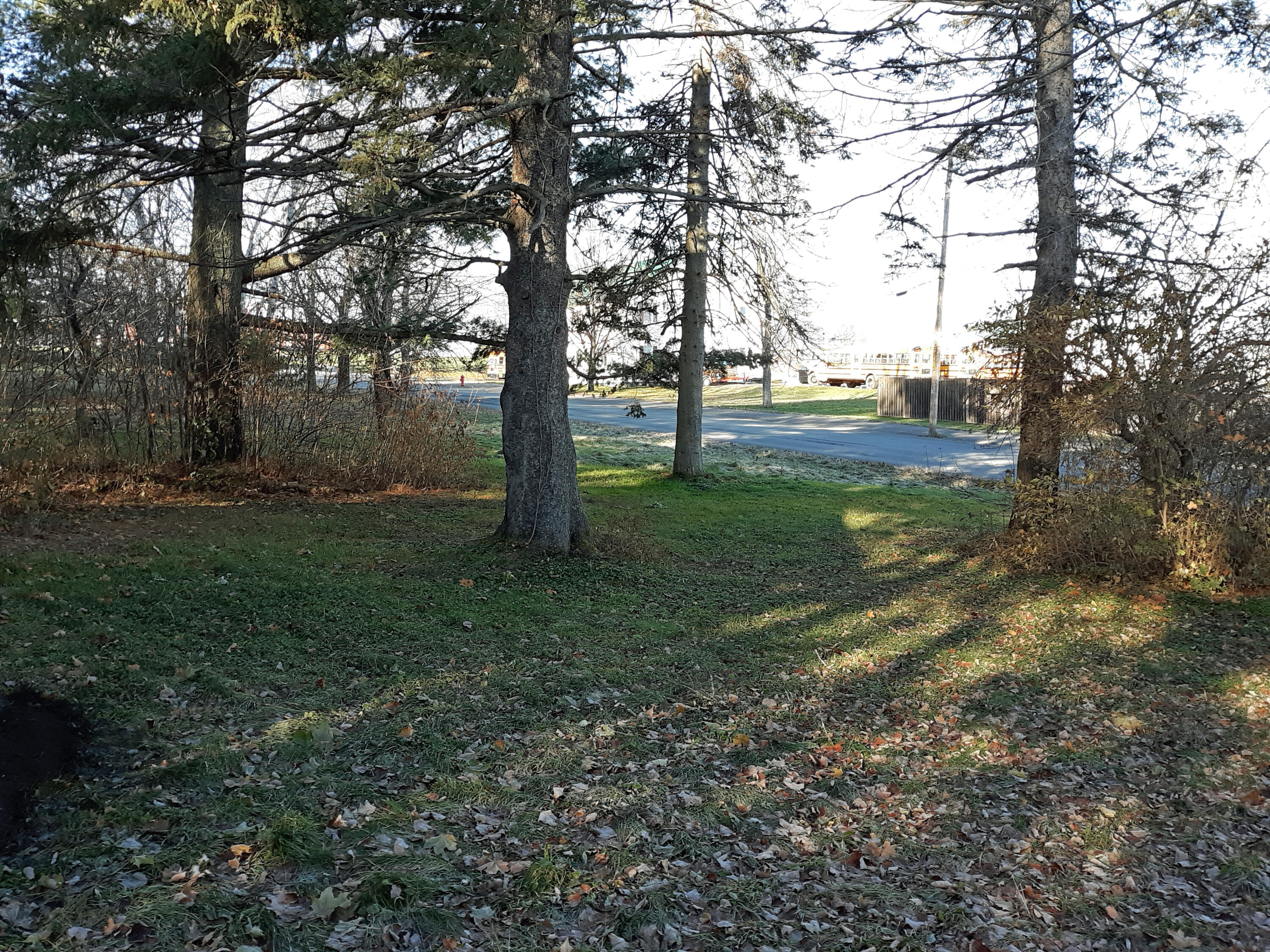 87 Main Street Limestone, ME 04750 - Photo 8 of 42 87 Main 097