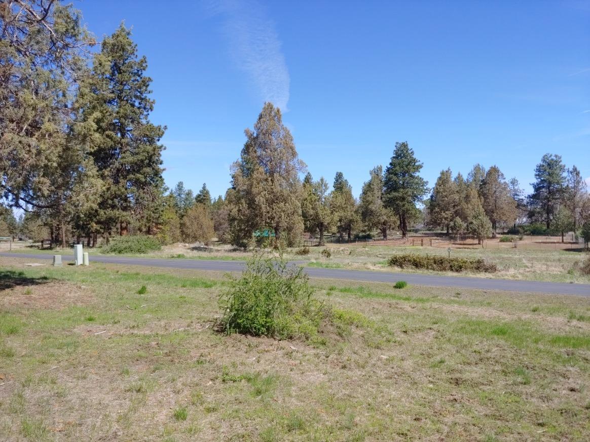 908 Redstart Road Klamath Falls, OR 97601 - Photo 4 of 4 View from Lot 908