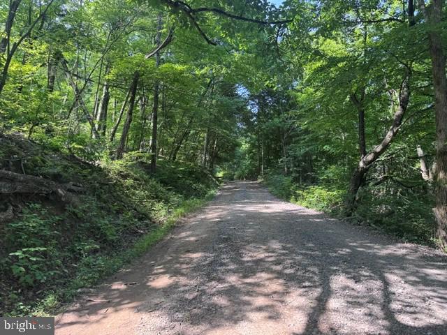Tbd Locust Grove Road Thornton, WV 26440 - Photo 22 of 24