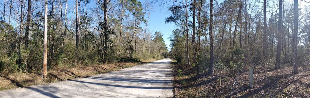 Choctaw Road Crawfordville, FL 32327 - Photo 2 of 4 Gallery Image 2