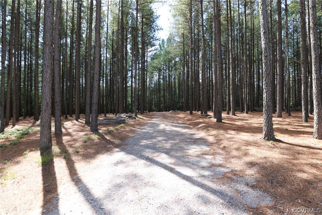 85 Rubermont Road Victoria, VA 23974 - Photo 44 of 49 a view of outdoor space with wooden fence