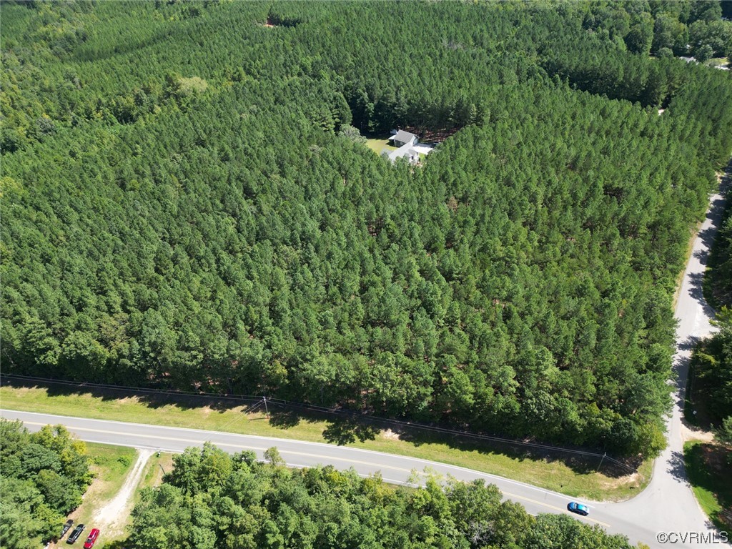 85 Rubermont Road Victoria, VA 23974 - Photo 45 of 49 a view of a garden with a tree