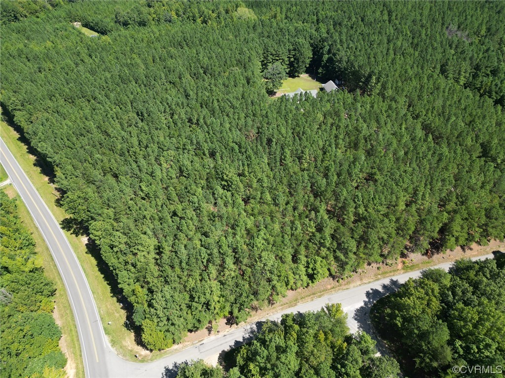 85 Rubermont Road Victoria, VA 23974 - Photo 46 of 49 a view of a yard with plants