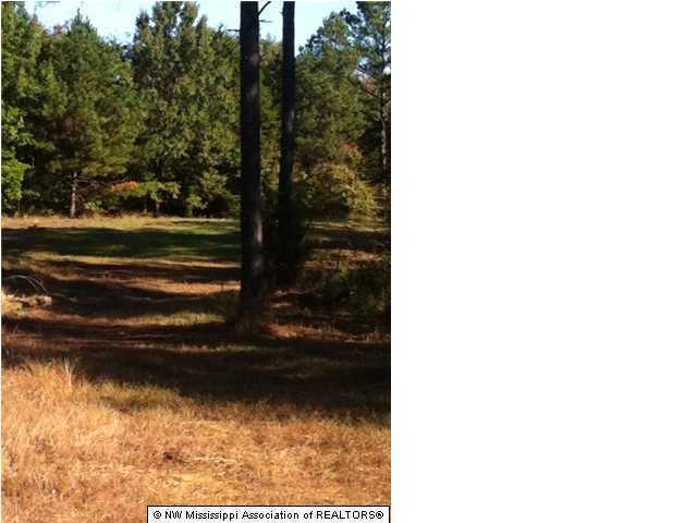 22 Tate Marshall Road Coldwater, MS 38618 - Photo 1 of 14 Primary Photo