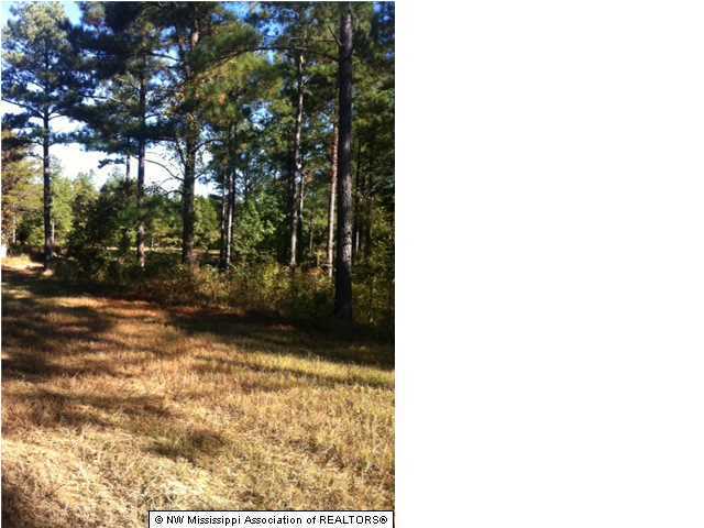 22 Tate Marshall Road Coldwater, MS 38618 - Photo 13 of 14 Additional Photo