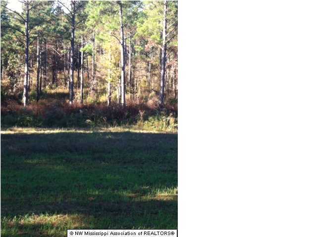 22 Tate Marshall Road Coldwater, MS 38618 - Photo 14 of 14 Additional Photo