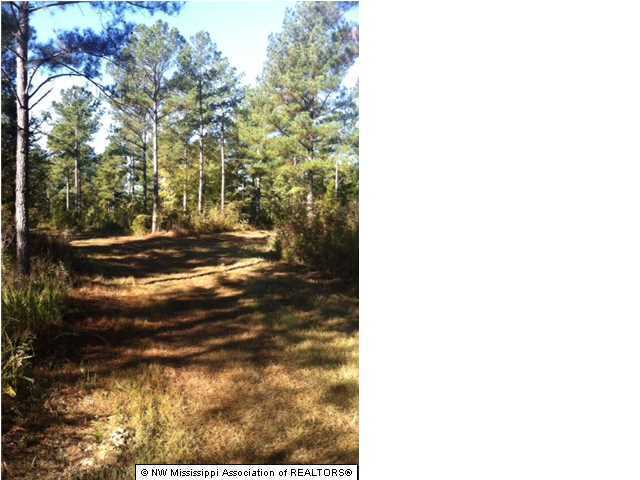 22 Tate Marshall Road Coldwater, MS 38618 - Photo 2 of 14 Additional Photo