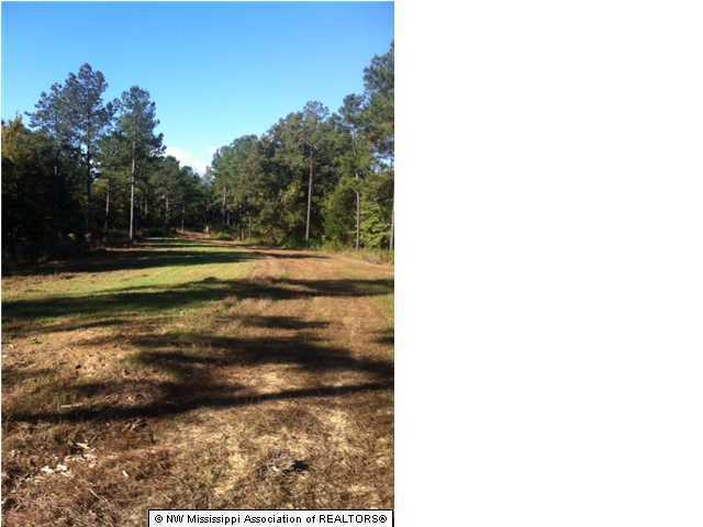 22 Tate Marshall Road Coldwater, MS 38618 - Photo 4 of 14 Additional Photo