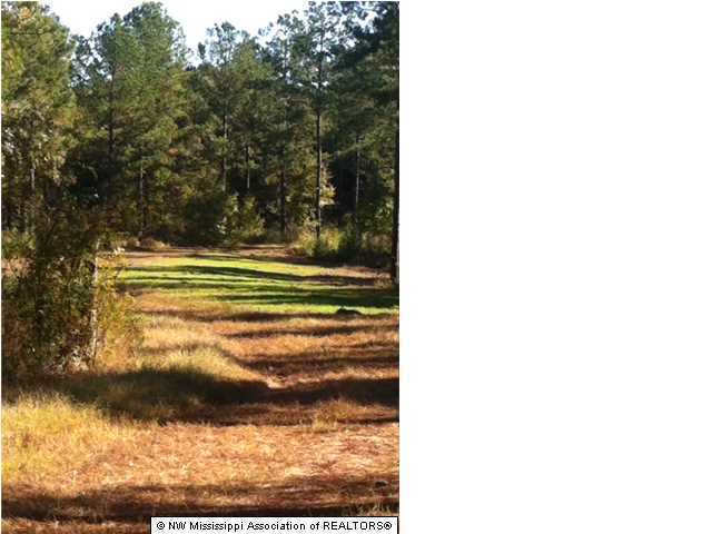 22 Tate Marshall Road Coldwater, MS 38618 - Photo 5 of 14 Additional Photo