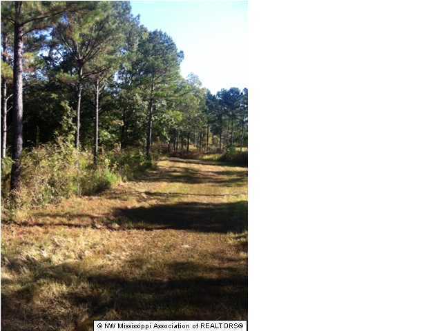 22 Tate Marshall Road Coldwater, MS 38618 - Photo 6 of 14 Additional Photo