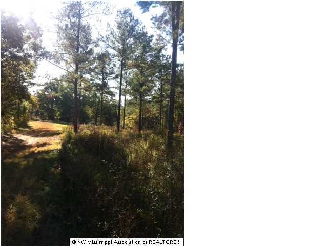 22 Tate Marshall Road Coldwater, MS 38618 - Photo 8 of 14 Additional Photo