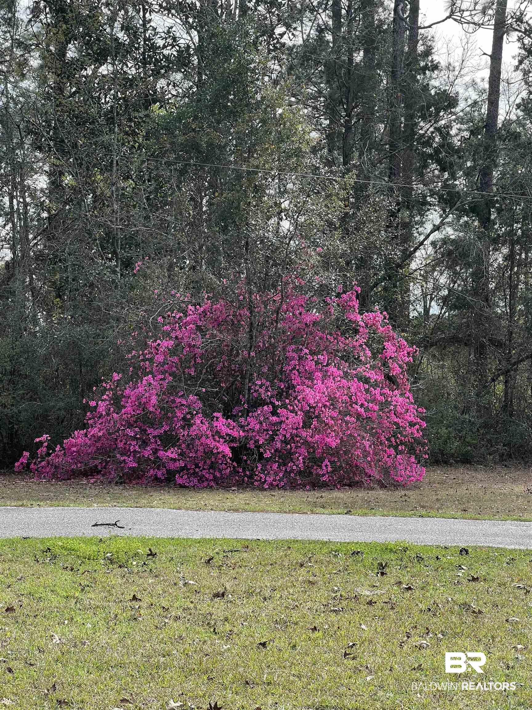 47580 Rabun Road Bay Minette, AL 36507 - Photo 52 of 55 View of yard