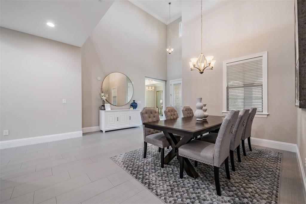 2913 Valencia Ridge Street Valrico, FL 33596 - Photo 9 of 31 a view of a dining room with furniture and chandelier