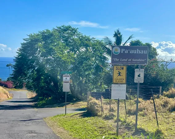 $250,000 | 47 Lot, Honokaa, HI 96727