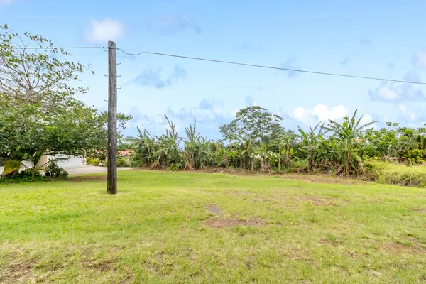 $250,000 | 47 Lot, Honokaa, HI 96727