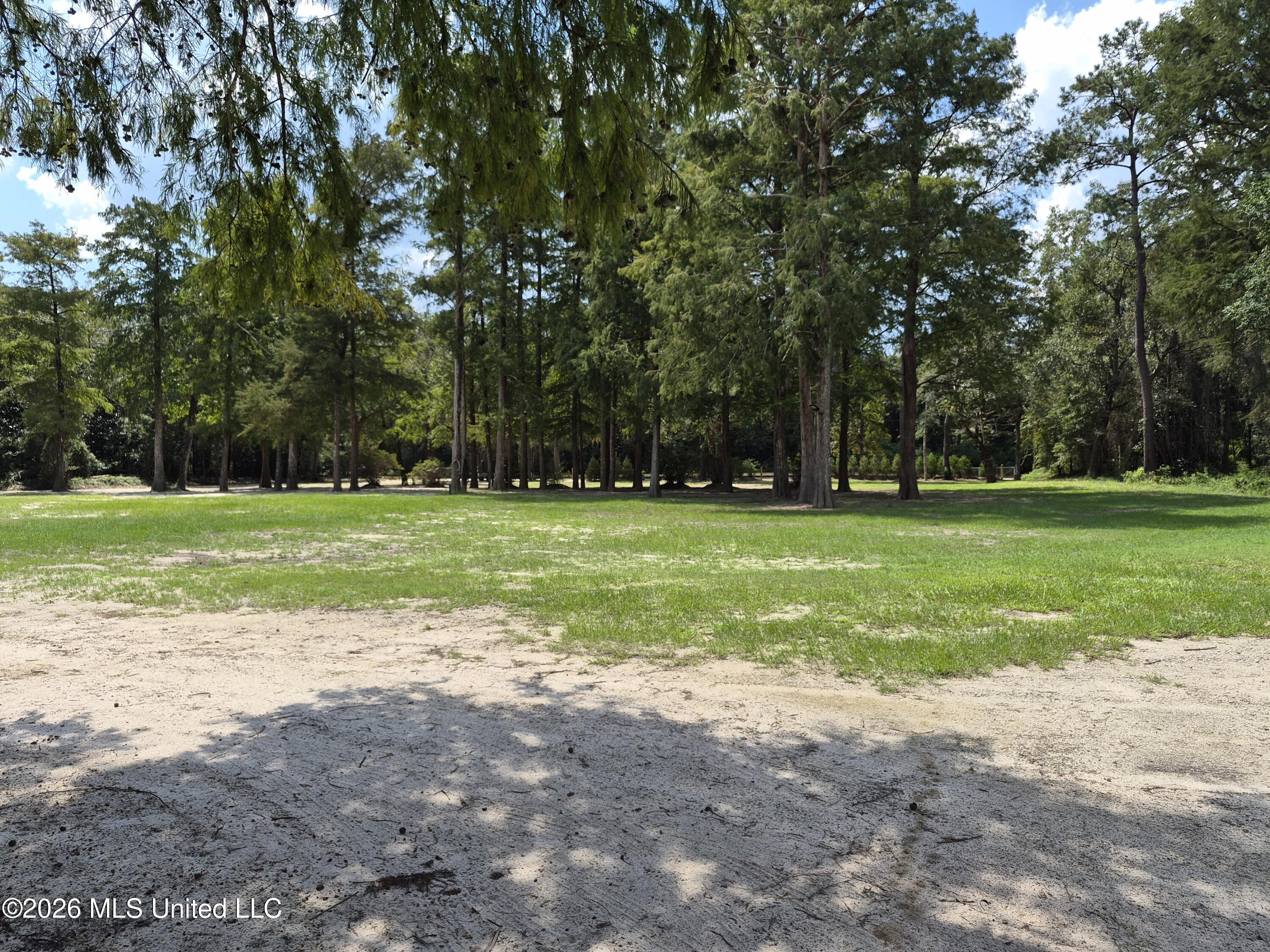 13756 River Road Gulfport, MS 39503 - Photo 66 of 93 Cleared East End