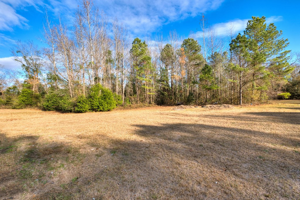 4410 Queen Chapel Road Dalzell, SC 29040 - Photo 4 of 26 Gallery Image 4