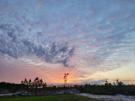 570 Clark's Landing Road Carrabelle, FL 32322 - Photo 17 of 18