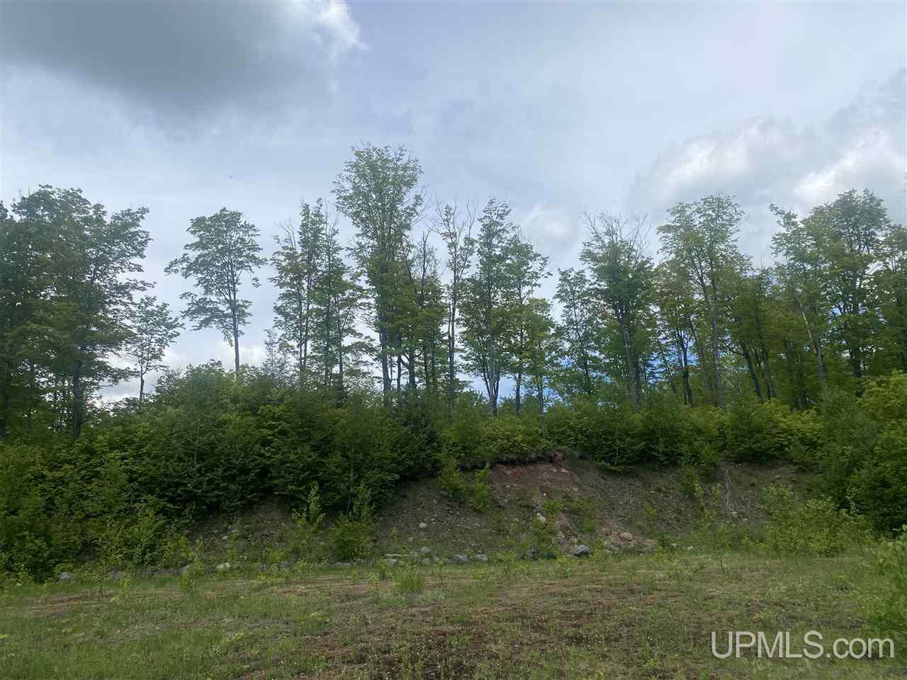 Tbd West Tamarack Lake Road, Unit 17 Iron River, MI 49935 - Photo 42 of 45