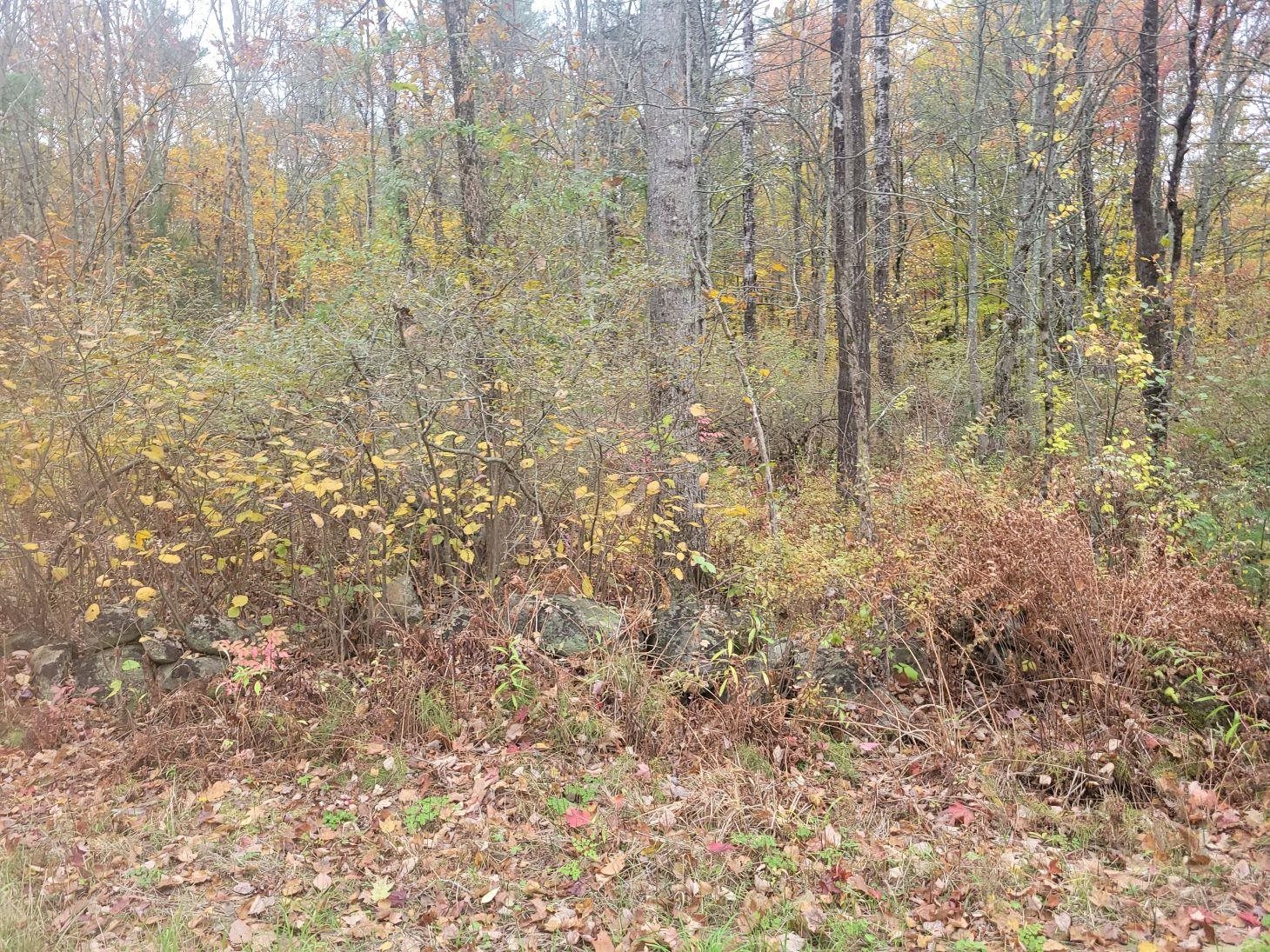 M2-l29-9 Province Road Barnstead, NH 03218 - Photo 3 of 6