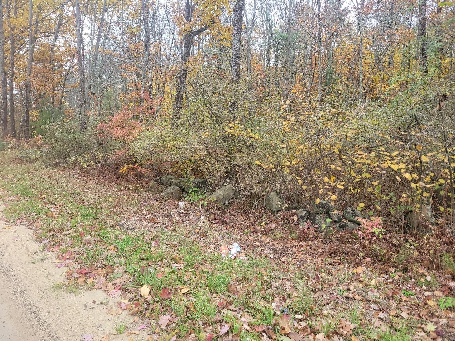 M2-l29-9 Province Road Barnstead, NH 03218 - Photo 5 of 6