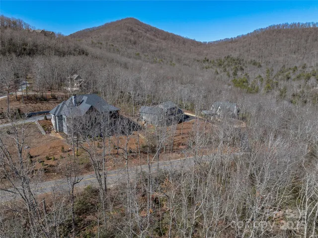 a view of a lush green hillside and houses