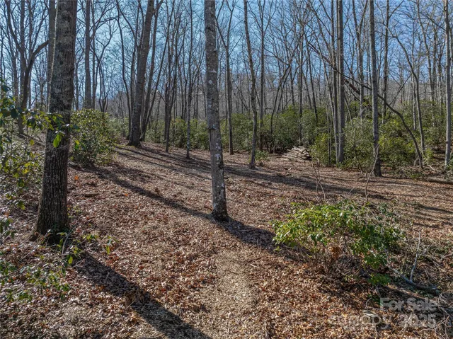 a view of a yard with a tree