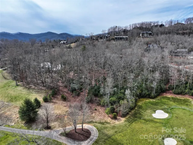 a view of a yard with plants and large trees