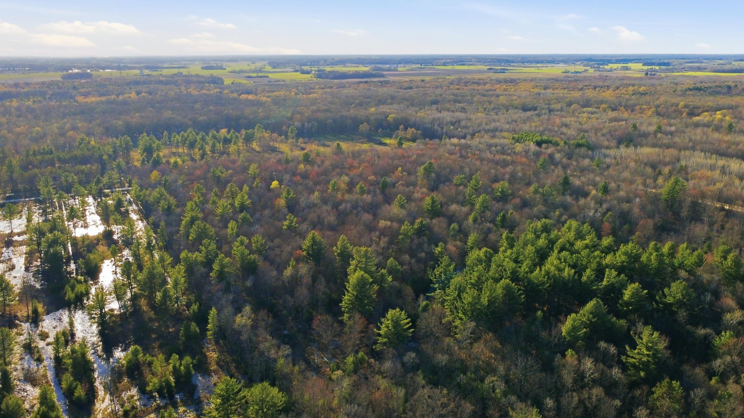 123 East Beyer Road Free Soil, MI 49411 - Photo 14 of 18 15_12