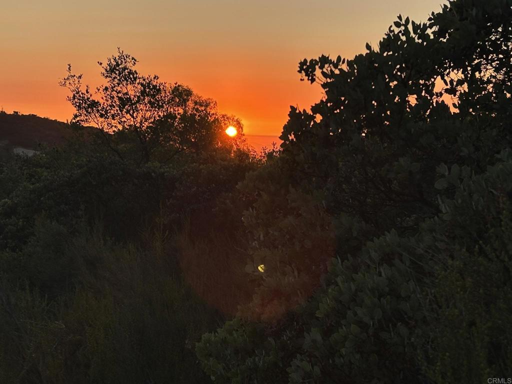 a view of a city from a yard