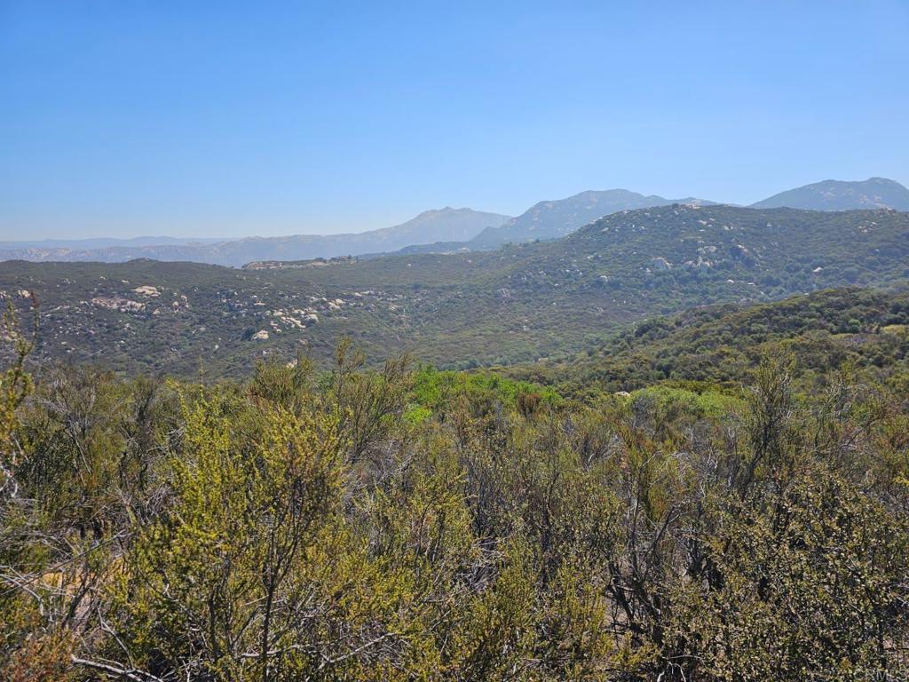 Skyline Truck Trail Jamul, CA 91935 - Photo 11 of 19 a view of a city with mountains in the background
