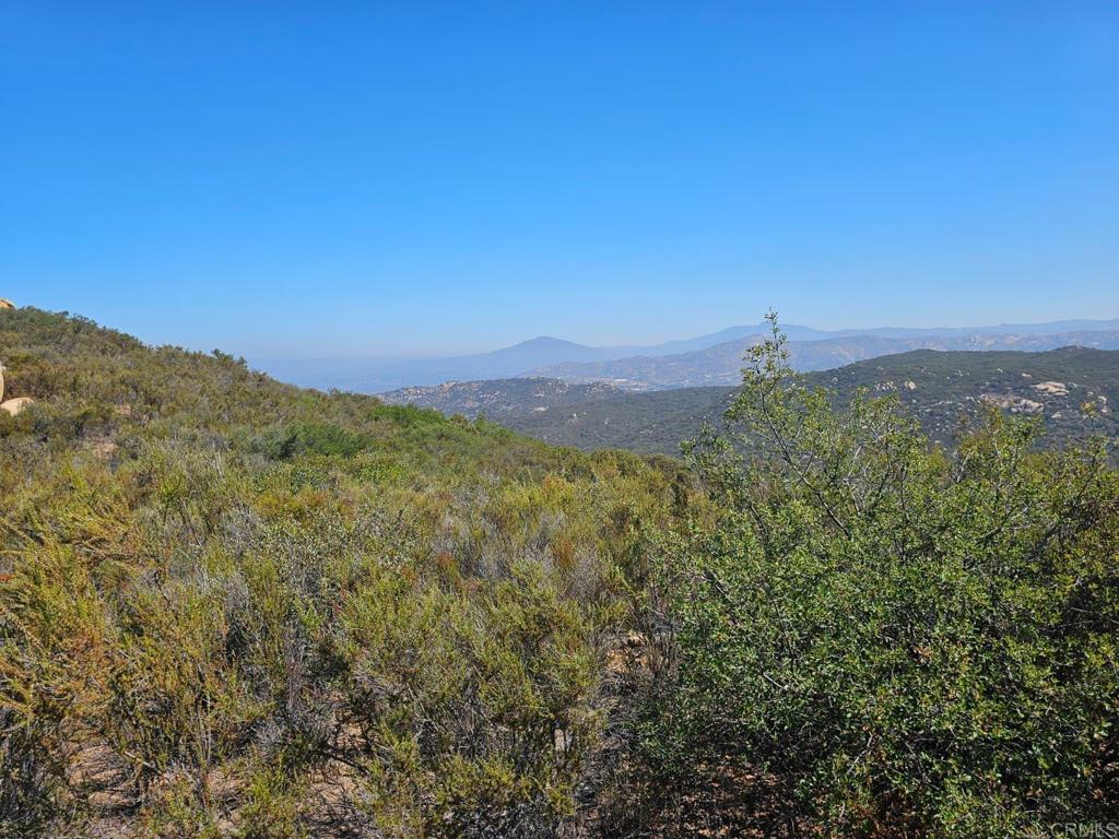 Skyline Truck Trail Jamul, CA 91935 - Photo 12 of 19 a view of a city with lush green forest