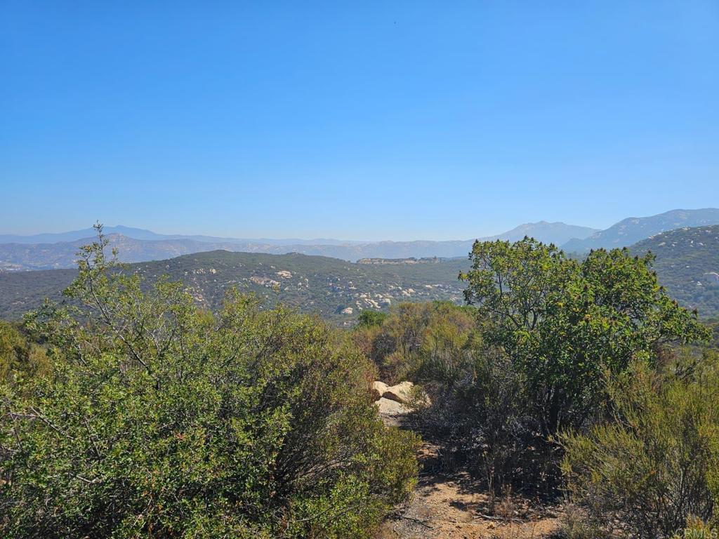 Skyline Truck Trail Jamul, CA 91935 - Photo 14 of 19 a view of a city with a mountain in the background