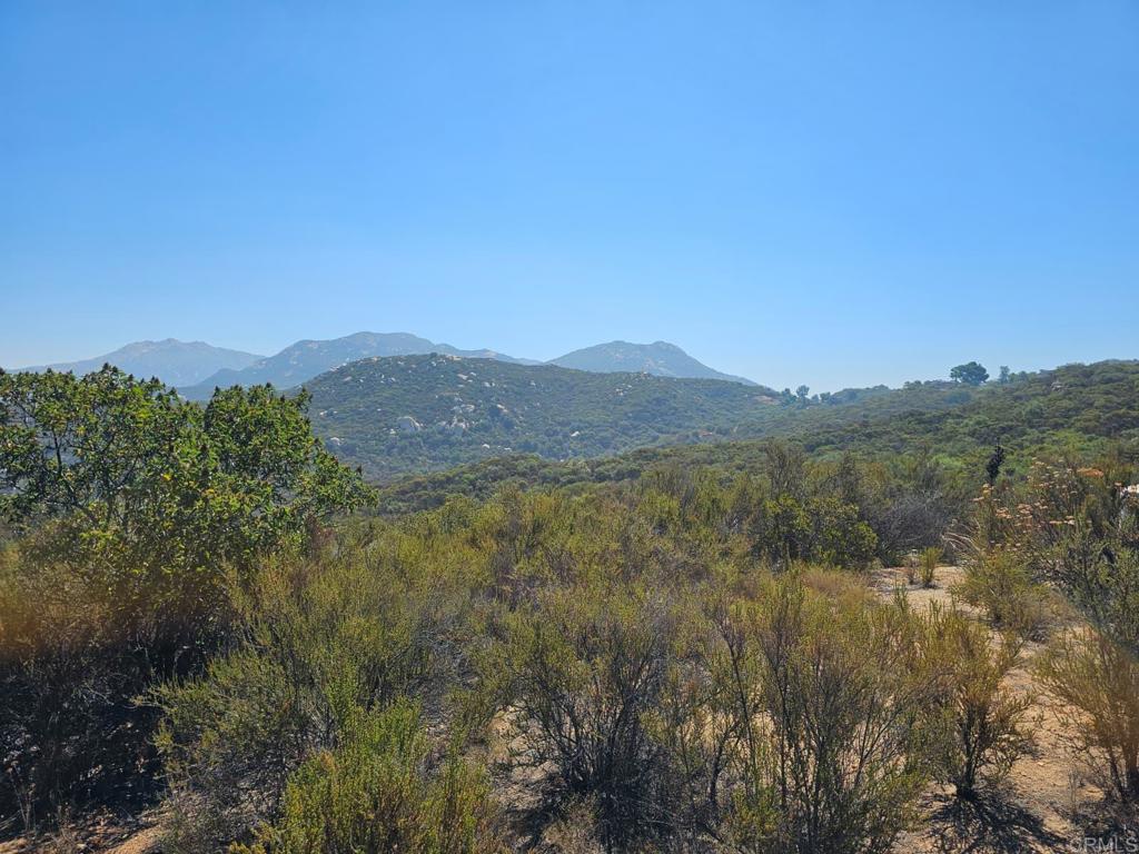 Skyline Truck Trail Jamul, CA 91935 - Photo 15 of 19