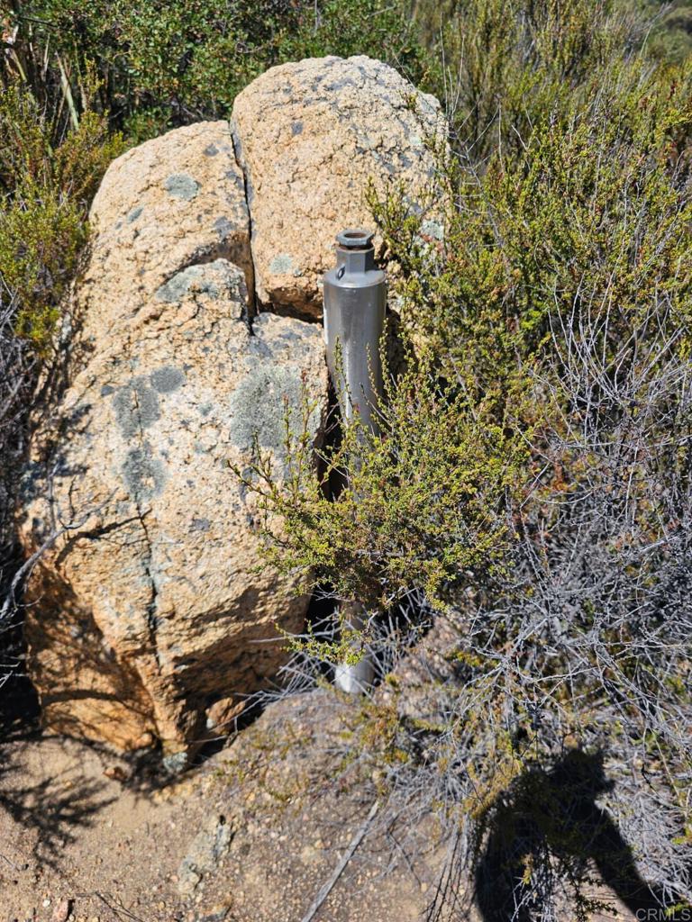 Skyline Truck Trail Jamul, CA 91935 - Photo 16 of 19 a view of a bird view of a tree with a yard