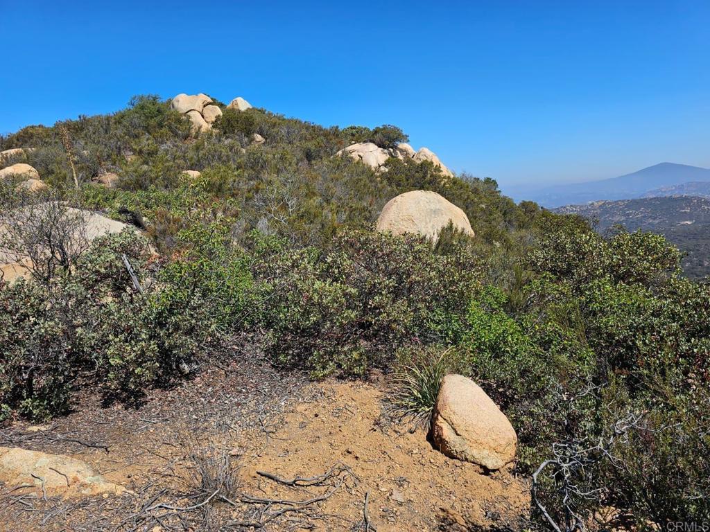 Skyline Truck Trail Jamul, CA 91935 - Photo 9 of 19 a view of a dry yard with large trees