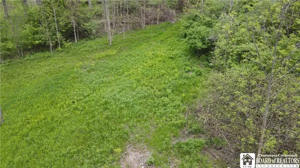 $165,000 | 0 Shore Drive, Dewittville, NY 14728