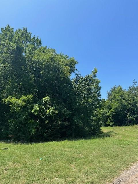 1316 Colvin Street Fort Worth, TX 76104 - Photo 2 of 2