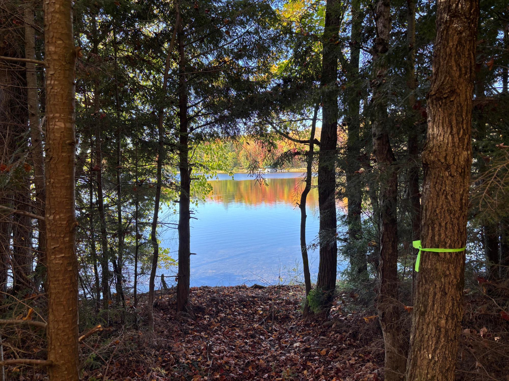 Lot 34 Nicolet Shores Road Phelps, WI 54554 - Photo 12 of 21 Gallery Image 12