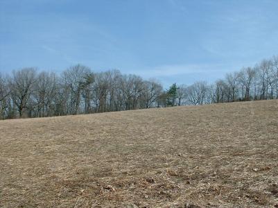 0 Nagys Hill Road Bangor, PA 18013 - Photo 2 of 4 a view of a dry yard with a tree