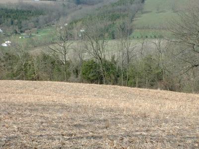 0 Nagys Hill Road Bangor, PA 18013 - Photo 3 of 4 a view of a yard