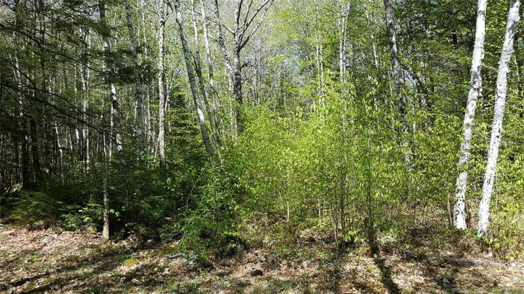 105 Tripp Road Chesterville, ME 04938 - Photo 6 of 16 Photo