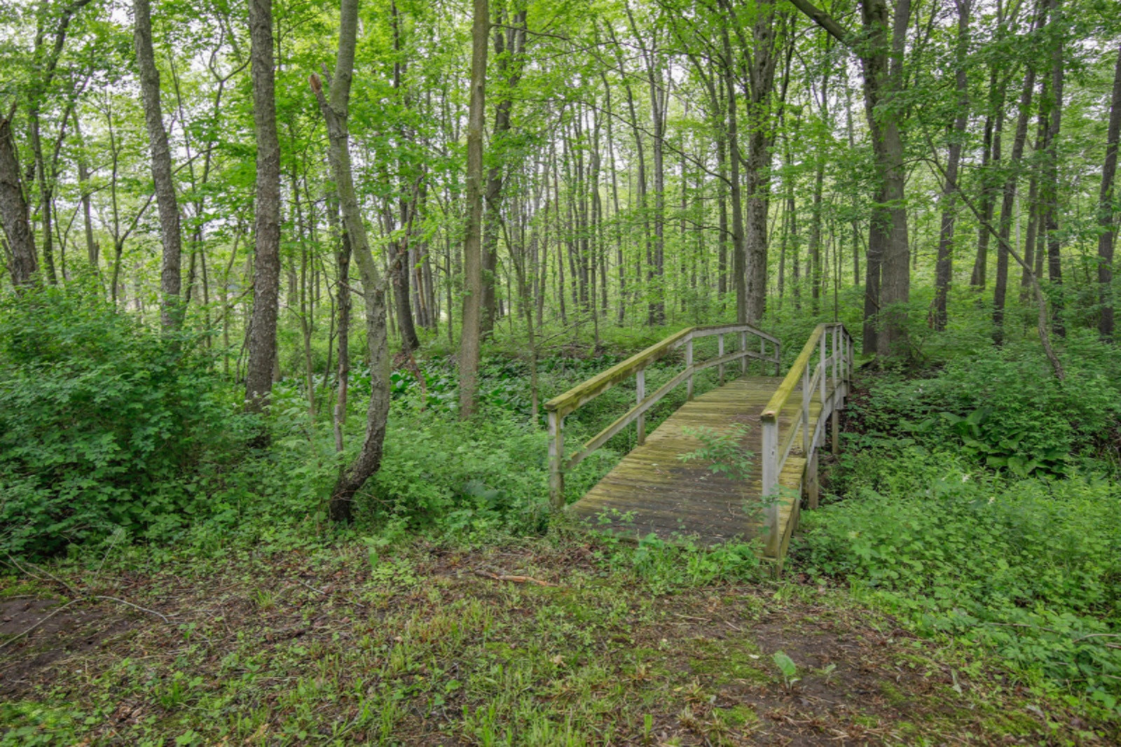 2068 Lincoln Road Allegan, MI 49010 - Photo 13 of 48 2068 Lincoln Rd-135