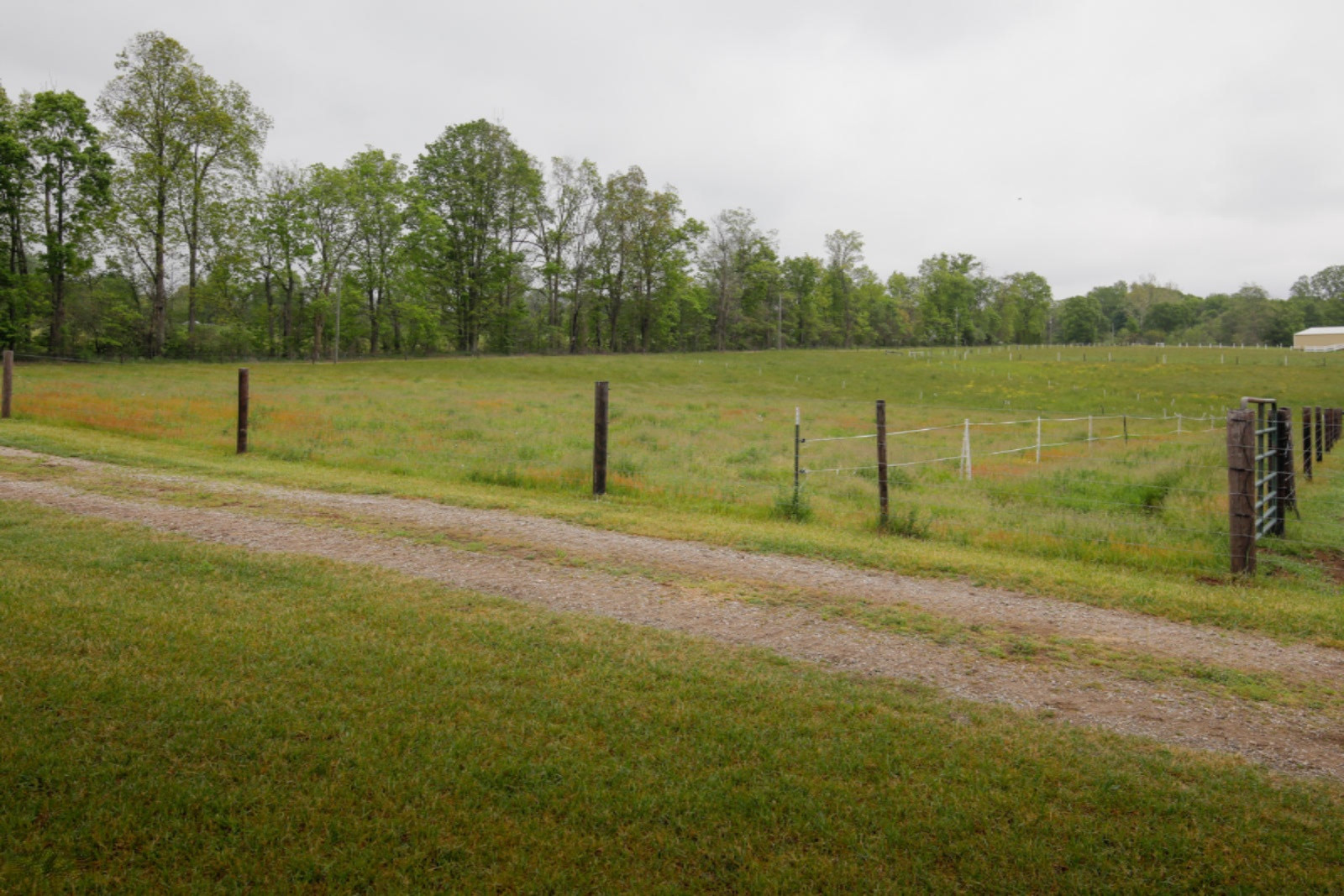 2068 Lincoln Road Allegan, MI 49010 - Photo 40 of 48 2068 Lincoln Rd-130