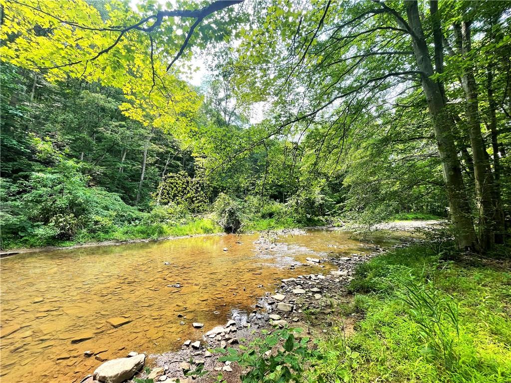 740 Four Mile Run Road Ligonier, PA 15658 - Photo 2 of 12 a view of a lake view with a tree