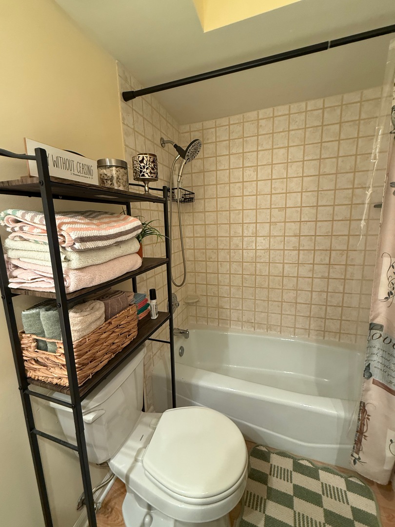 18135 Martin Avenue, Unit 2SW Homewood, IL 60430 - Photo 12 of 18 a bathroom with a toilet and a shower