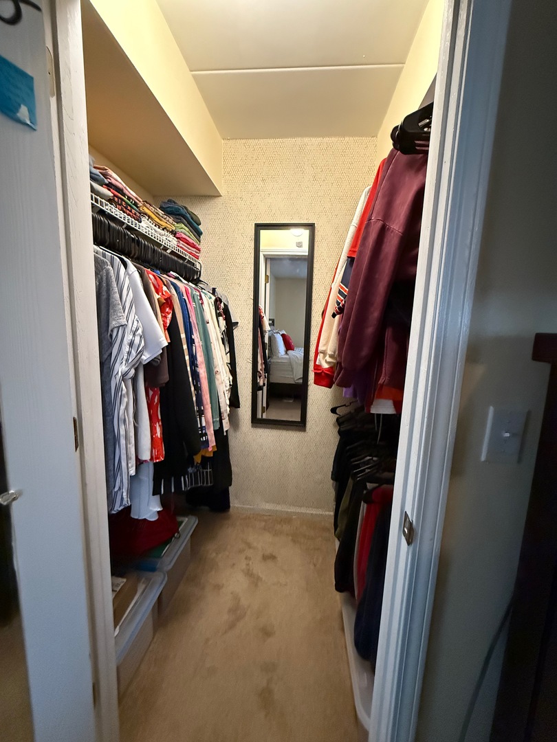 18135 Martin Avenue, Unit 2SW Homewood, IL 60430 - Photo 15 of 18 a view of walk in closet with clothes